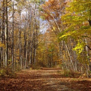 Hilton Falls Conservation Area - Beautiful trails - Parks Near Me - Milton, Ontario