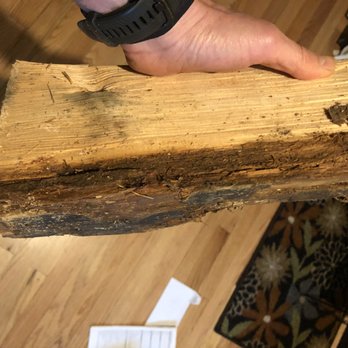 A-1 Firewood - This piece was soaked through more than an inch. - Firewood Near Me A-1 Firewood - This piece was soaked through more than an inch. - Firewood Near Me