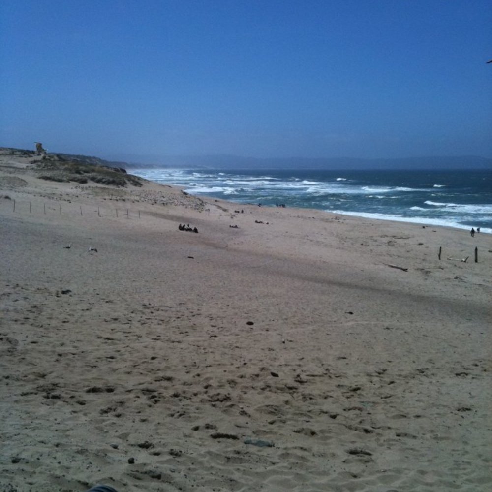 Marina State Beach - Beaches Near Me - Marina, California Marina State Beach - Beaches Near Me - Marina, California