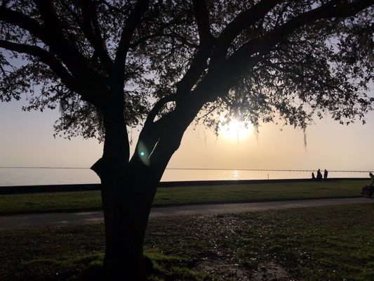 de la Bleau B&B by null