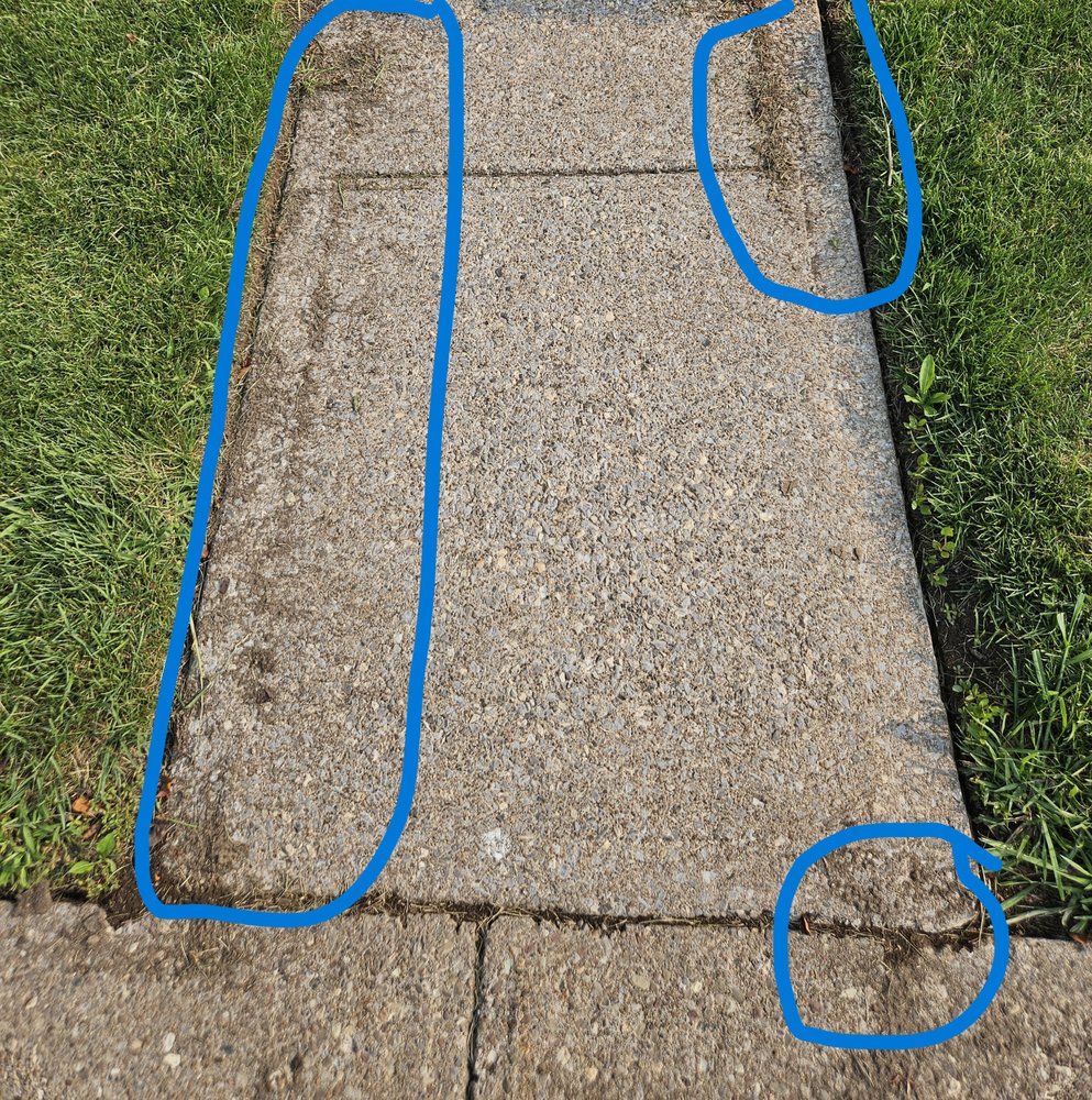 Trimline Landscape Management - tree service in Rochester, NY