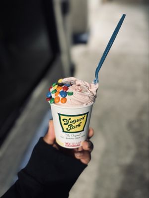Yogurt Park by null
