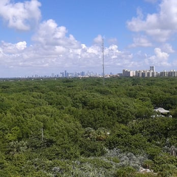 Cape Florida Lighthouse - View was definitely worth all those steps. :) - Landmarks & Historical Buildings Near Me - Key Biscayne, Florida