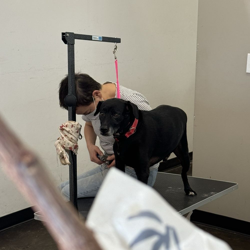 Pooch Pride Grooming - Nail trim and grind - Pet Groomers Near Me - Torrance, California
