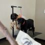 Photo of Pooch Pride Grooming