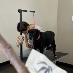 Pooch Pride Grooming - Nail trim and grind