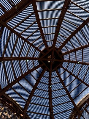 Botanical Building by null