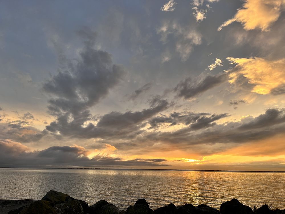 THE GREEN HOUSE INN BY THE BAY Updated April 2024 46 Photos & 16 Reviews 630 Marine Dr