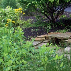 Hartke Nursery