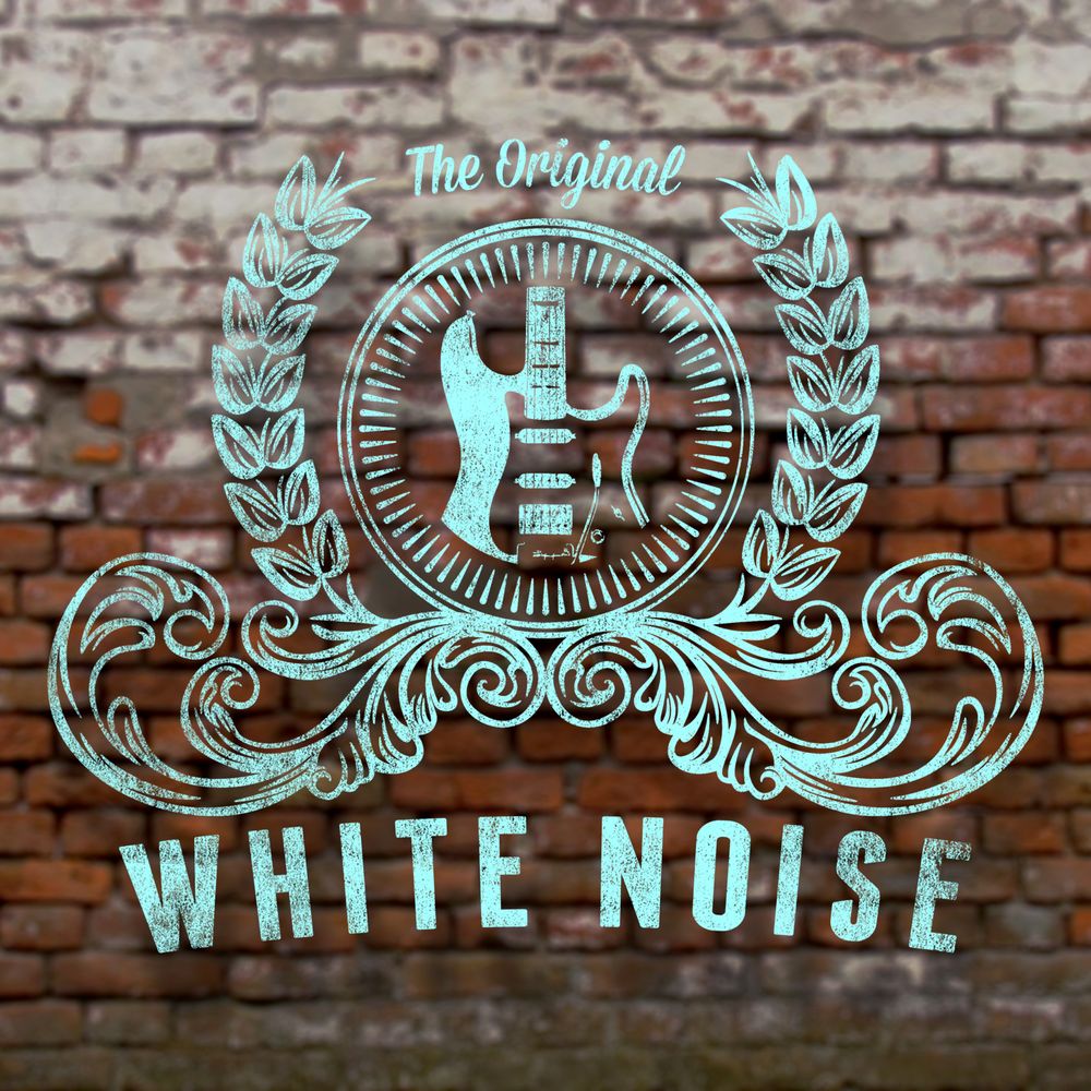 WHITE NOISE GUITAR Request Information 9 Crockford Close