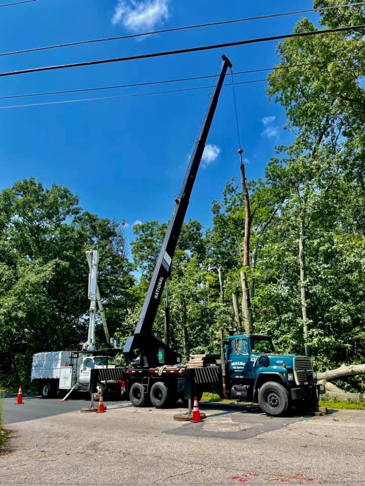 Malec Tree Service - tree service in Harrisville, RI