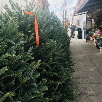 Graham Garden - a row of christmas trees on a sidewalk - Juice Bars & Smoothies Near Me - Brooklyn, New York