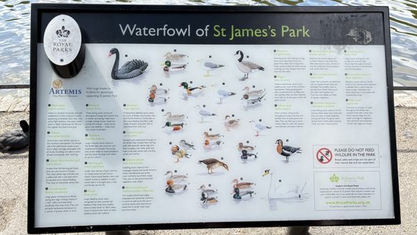 St James's Park by null