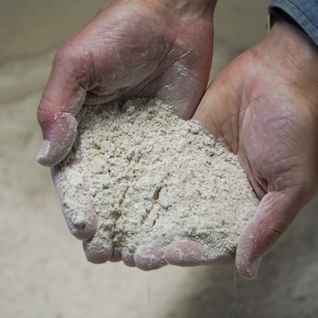 Red Hen Baking - Freshly milled rye flour - Bakeries Near Me - Montpelier, Vermont Red Hen Baking - Freshly milled rye flour - Bakeries Near Me - Montpelier, Vermont