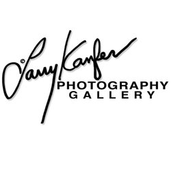 Larry Kanfer - Larry Kanfer