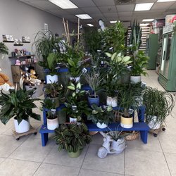 Flowerchild Florist - Flowerchild Florist offers a wide variety of plants that come planted in ceramic pots