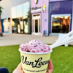 Van Leeuwen Ice Cream - Fort Worth