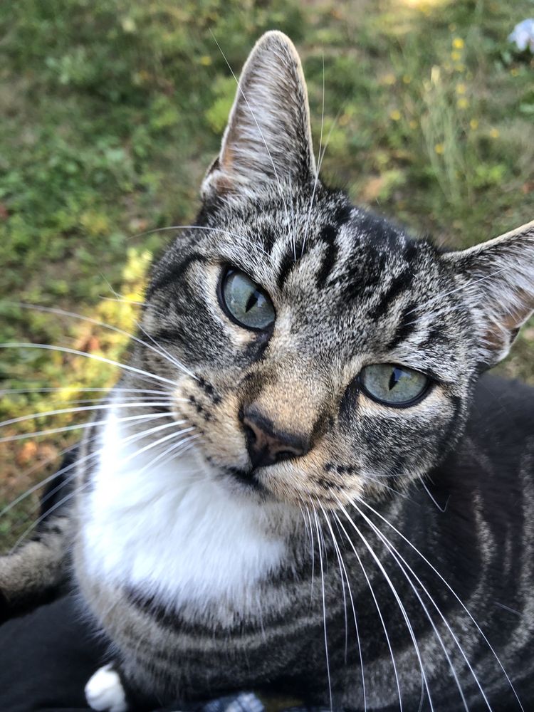 JAVA BLEND COFFEE ROASTERS Updated June 2024 32 Photos & 91 Reviews