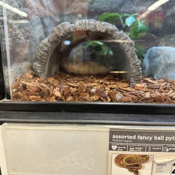 Petco - Pet Stores Near Me - San Diego, California Petco - Pet Stores Near Me - San Diego, California