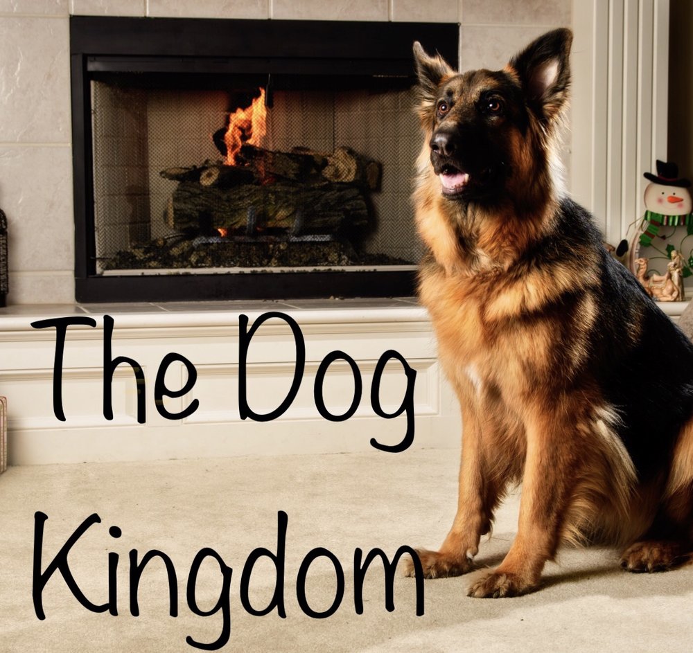 THE DOG KINGDOM Updated September 2024 14264 W 147th Ter, Olathe