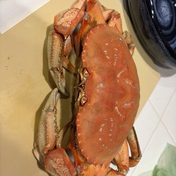 99 Ranch Market - Was once a live crab from 99 ranch, now it's a cooked crab all ready for dinner. - International Grocery Near Me - Sacramento, California 99 Ranch Market - Was once a live crab from 99 ranch, now it's a cooked crab all ready for dinner. - International Grocery Near Me - Sacramento, California