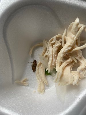 Pho 54 by null
