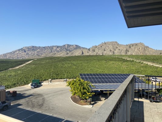 Burrowing Owl Estate Winery by null