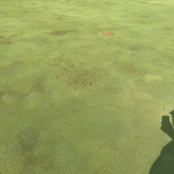 Hunters Ridge Golf Course