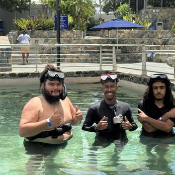 Coral World Ocean Park - Aquariums Near Me - St Thomas, Virgin Islands