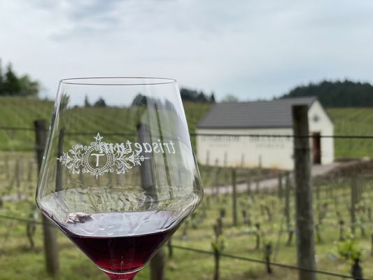 Trisaetum Winery by null