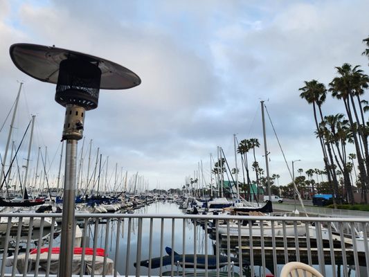 Schooner Or Later by null