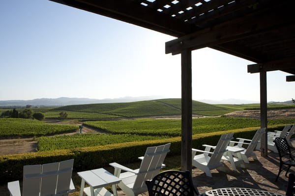William Hill Estate Winery by null