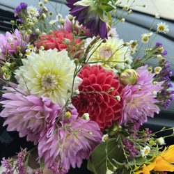 Oshkosh Farmers Market
