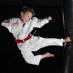 Lion Of Judah Martial Arts