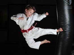 Lion Of Judah Martial Arts Logo