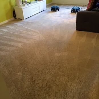 Sunnyvale Carpet Care - Best carpet cleaning experience I ever had! - Carpet Cleaning Near Me Sunnyvale Carpet Care - Best carpet cleaning experience I ever had! - Carpet Cleaning Near Me