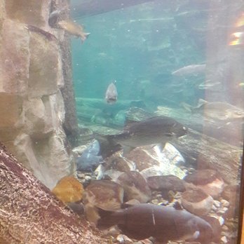 Cabela's - Outdoor Gear Near Me - Lehi, Utah