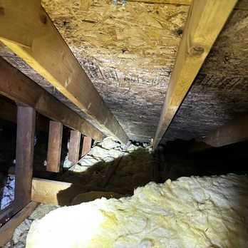 Visual Pro Home Inspections - Attic mold - Home Inspectors Near Me - Troy, Michigan Visual Pro Home Inspections - Attic mold - Home Inspectors Near Me - Troy, Michigan