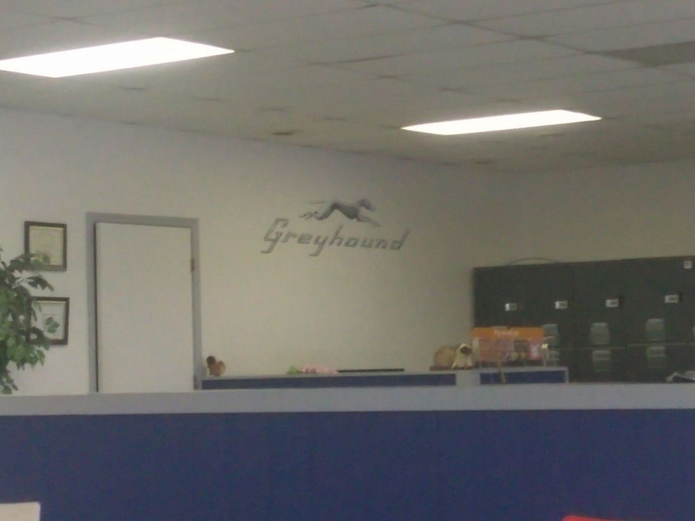 GREYHOUND BUS LINES Updated August 2024 839 VFW Memorial Dr, Saint