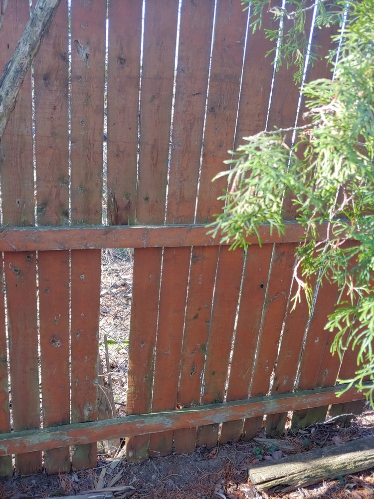 WALMART PHOTO CENTER 200 Dutch Meadows Ln, Glenville, New York