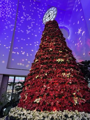 Lauritzen Gardens by null