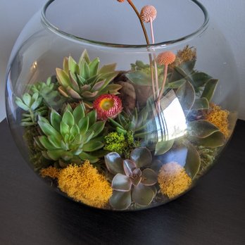 FaBLOOMosity - One of the most beautiful terrariums - Florists Near Me - Edmonton, Alberta