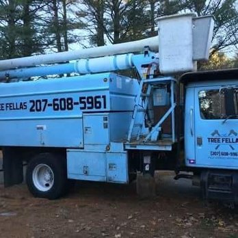 The Tree Fellas - Tree Services Near Me - Lebanon, Maine