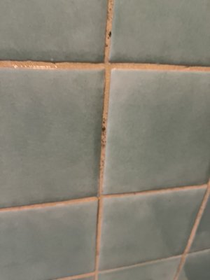 The Spa at Estancia La Jolla by null