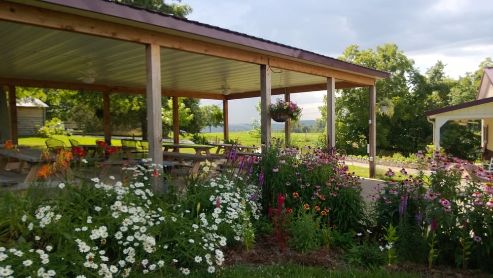 Endless Summer Winery - vineyard in Hermann, MO