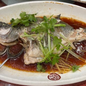 Golden Palace - Steamed Marble Goby - Chinese Near Me - Flushing, New York
