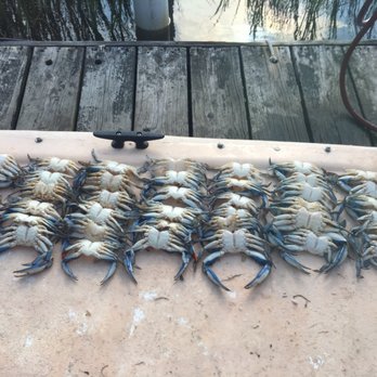 Fun Time Crabbing - Boat Tours Near Me - Egg Harbor Township, New Jersey Fun Time Crabbing - Boat Tours Near Me - Egg Harbor Township, New Jersey
