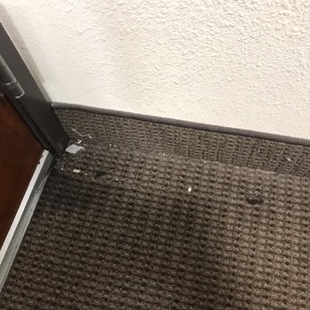Sleep Inn & Suites - Not vacuumed floor - Hotels Near Me - Bensalem, Pennsylvania Sleep Inn & Suites - Not vacuumed floor - Hotels Near Me - Bensalem, Pennsylvania