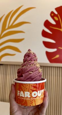 Far Out Ice Cream by null