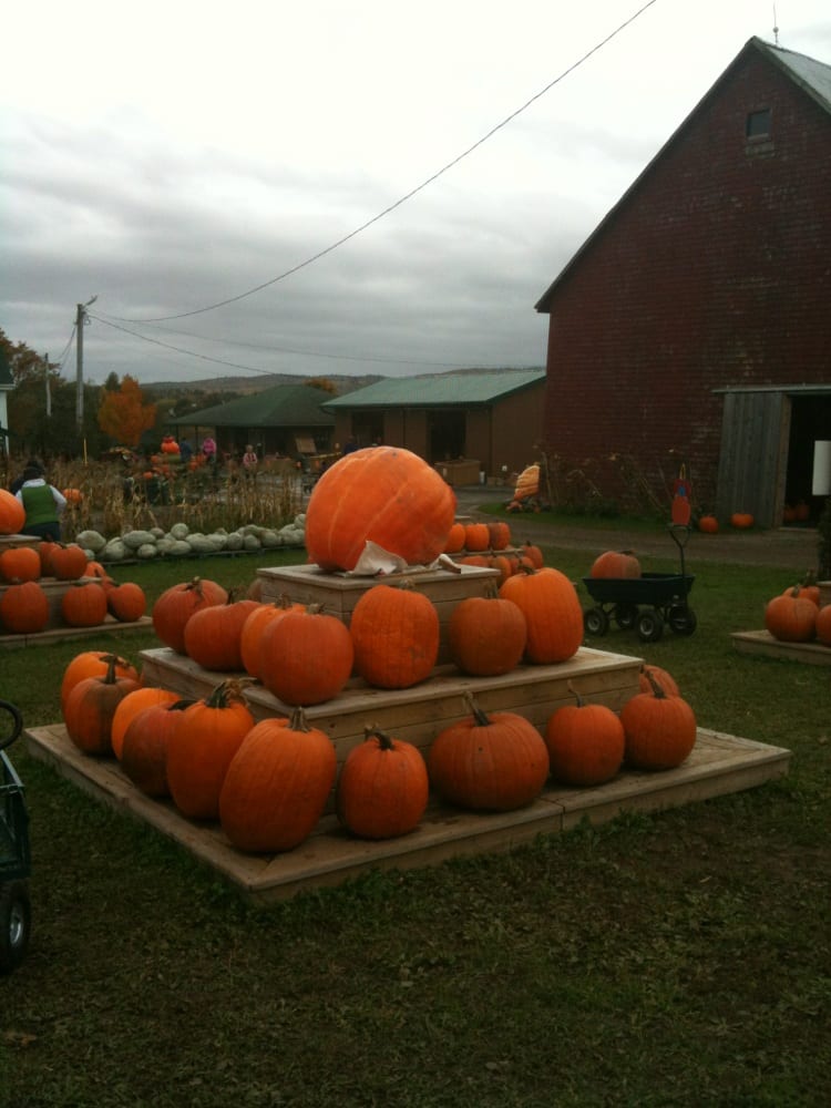 DILL FAMILY FARM Updated August 2024 316526 College Road, Windsor